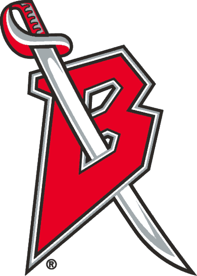 Buffalo Sabres 1996-1999 Alternate Logo v3 DIY iron on transfer (heat transfer)